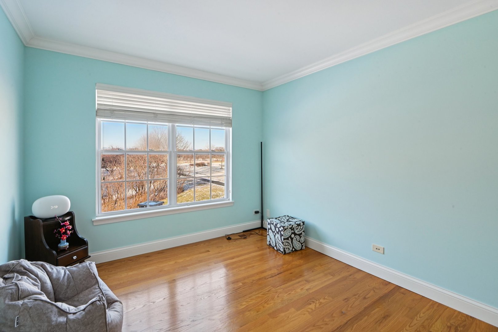 133 Caledonian Avenue Sugar Grove, IL 60554 - Photo 29 of 49