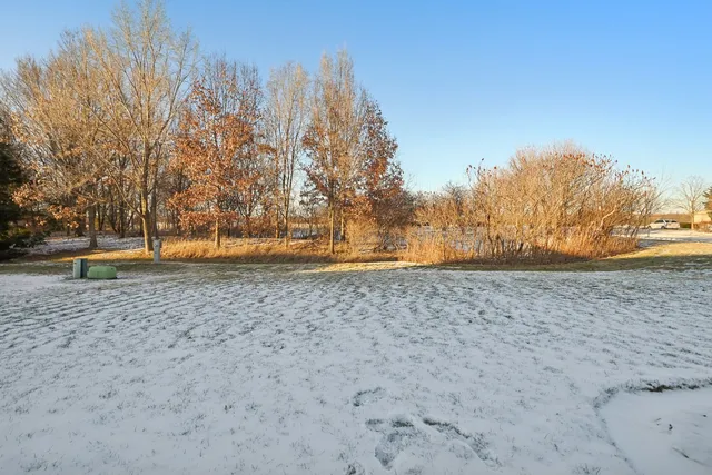 a view of yard with trees