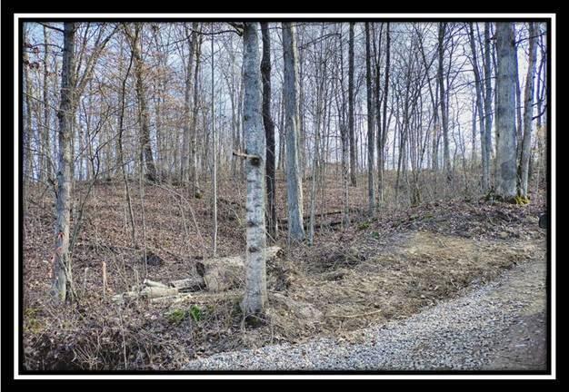 0 Raysville Road, Unit TRACT 2) Jackson, OH 45640 - Photo 3 of 36 image003