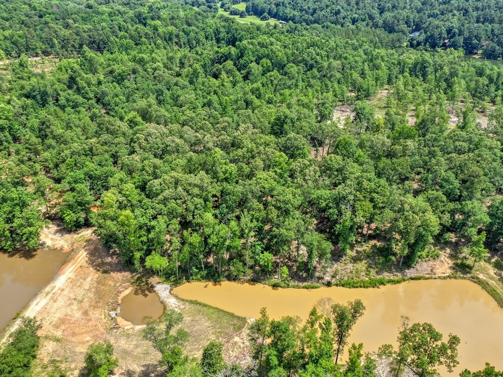 Parcel B Old Dibble Road Aiken, SC 29803 - Photo 4 of 17