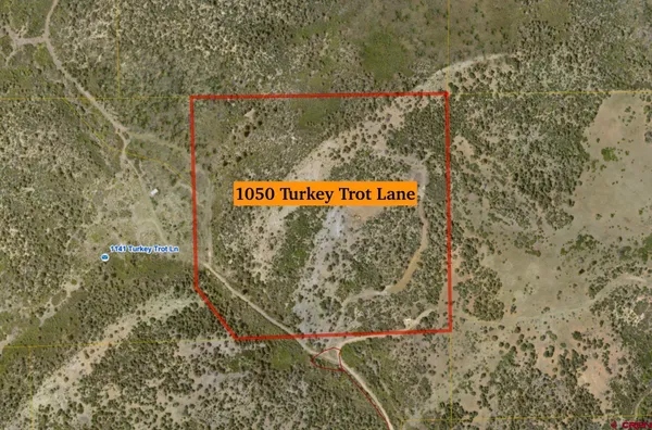 a black and white photo of a living room