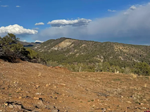 a view of a house with a patio and a yard