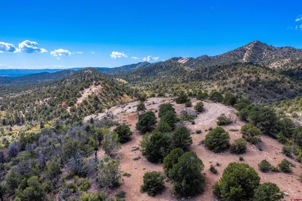 a view of a of a building with a yard