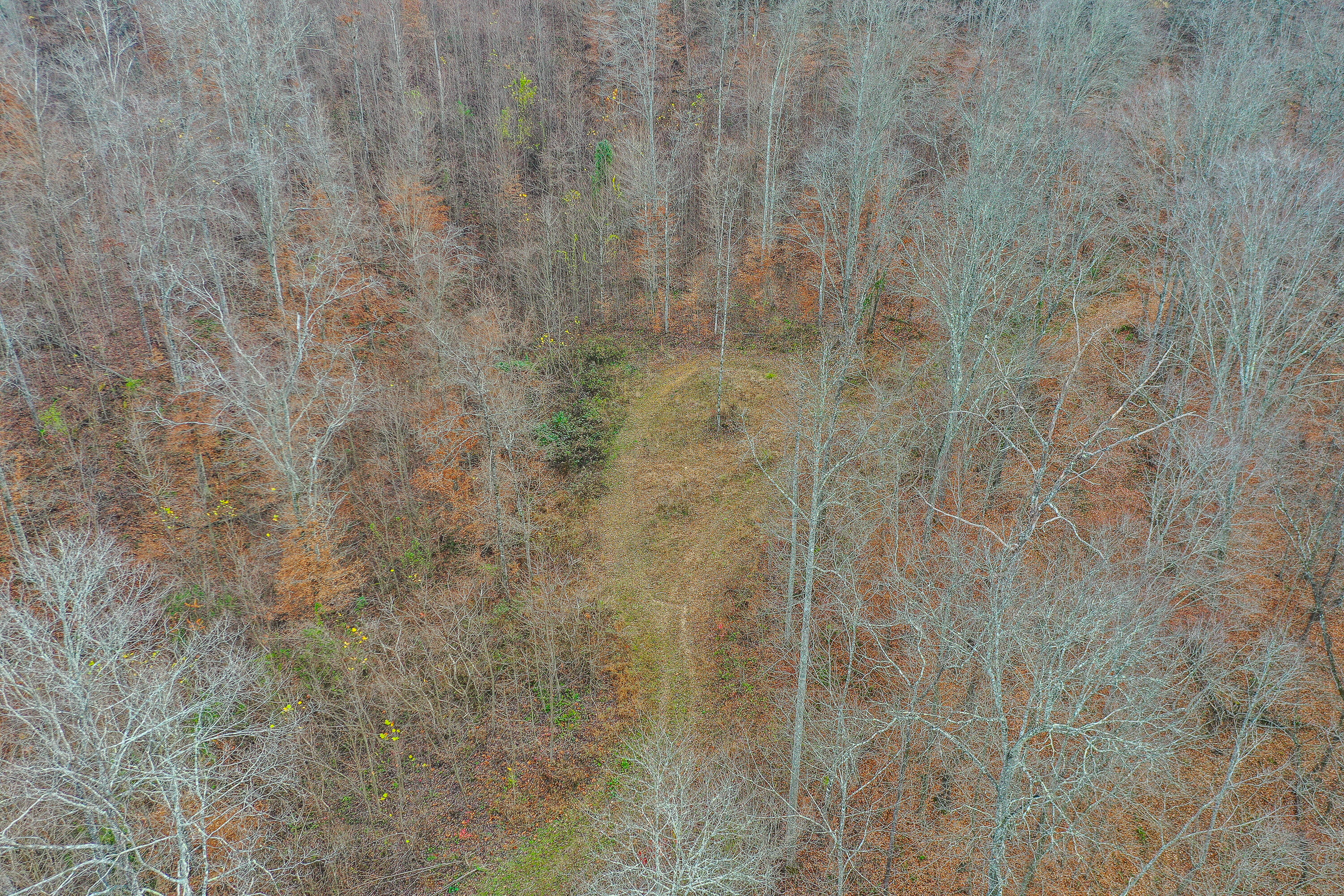 336 Big Branch Road Beattyville, KY 41311 - Photo 45 of 66 2-8