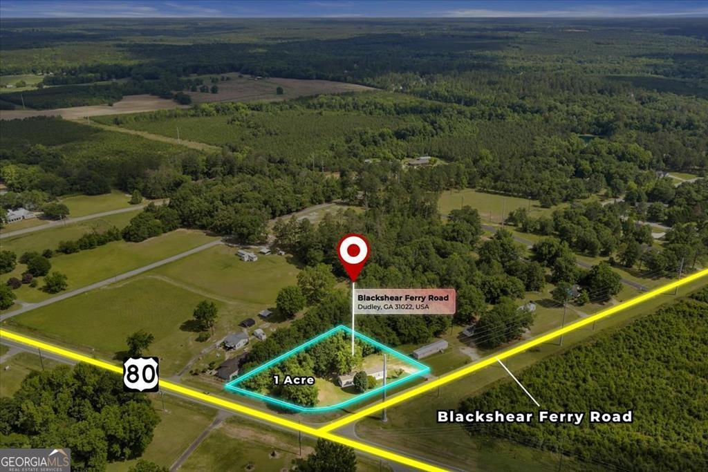 1295 Blackshear Ferry Road Dudley, GA 31022 - Photo 1 of 16