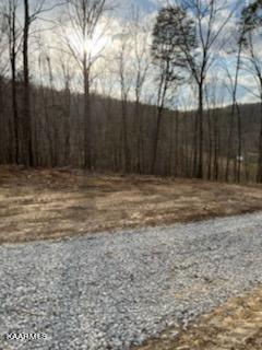 331 Branham Hollow Road Ten Mile, TN 37880 - Photo 2 of 7 IMG_0678