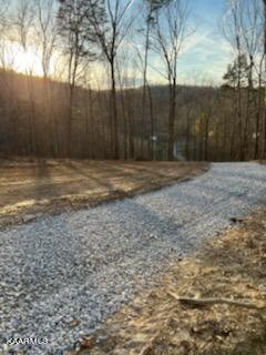 331 Branham Hollow Road Ten Mile, TN 37880 - Photo 3 of 7 IMG_0680