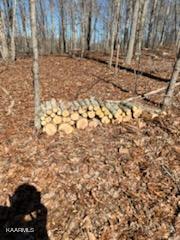 331 Branham Hollow Road Ten Mile, TN 37880 - Photo 5 of 7 666987933