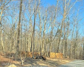 331 Branham Hollow Road Ten Mile, TN 37880 - Photo 7 of 7 IMG_0802(1)