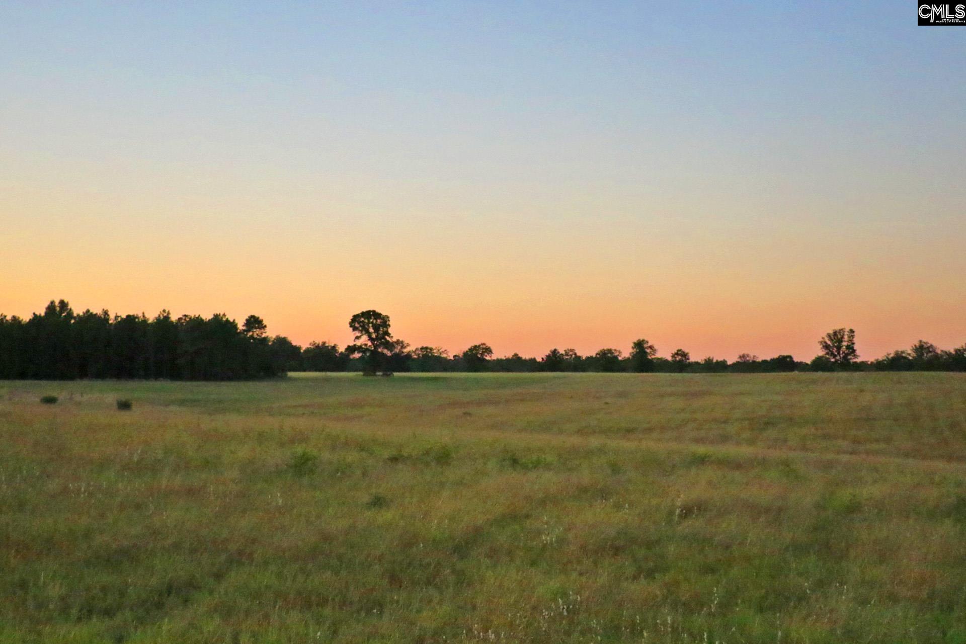 Tbd Browns Pond Road Wagener, SC 29164 - Photo 26 of 48