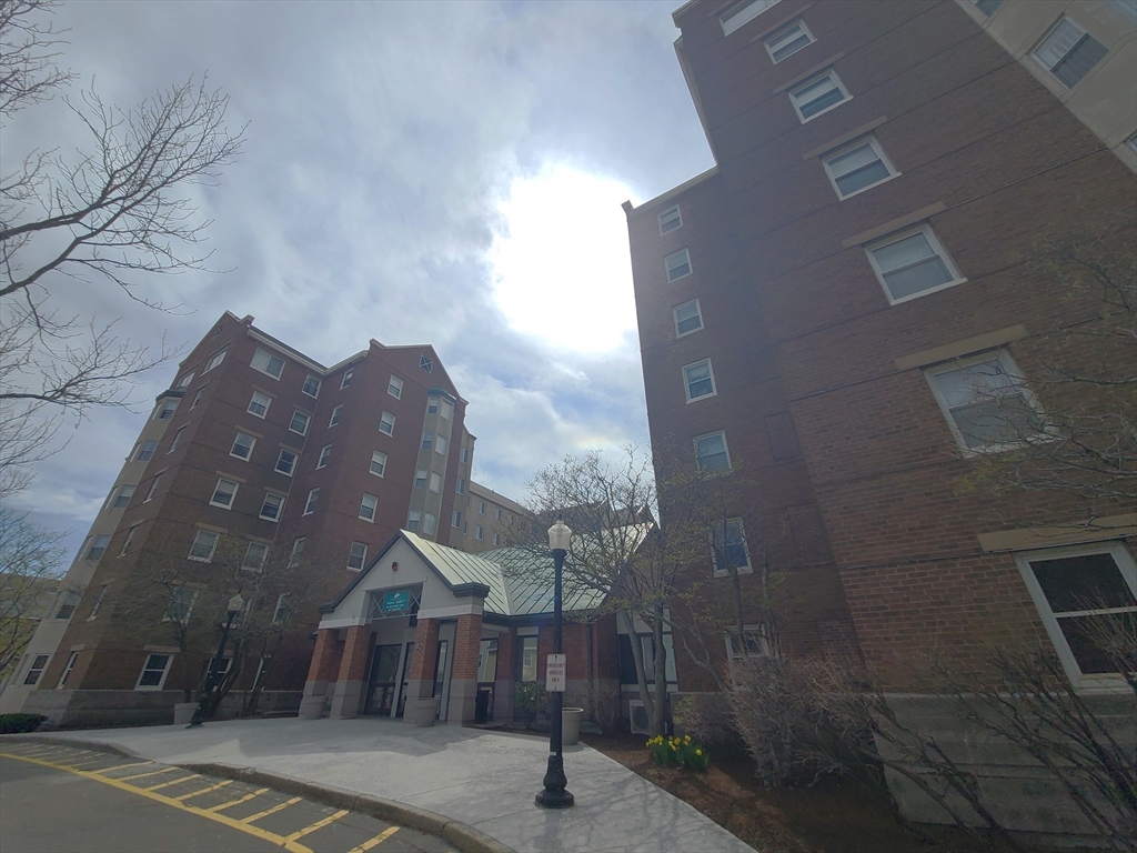 40 Westwind Road, Unit 657 Boston, MA 02125 - Photo 11 of 12 a wooden bench sitting in middle of a yard