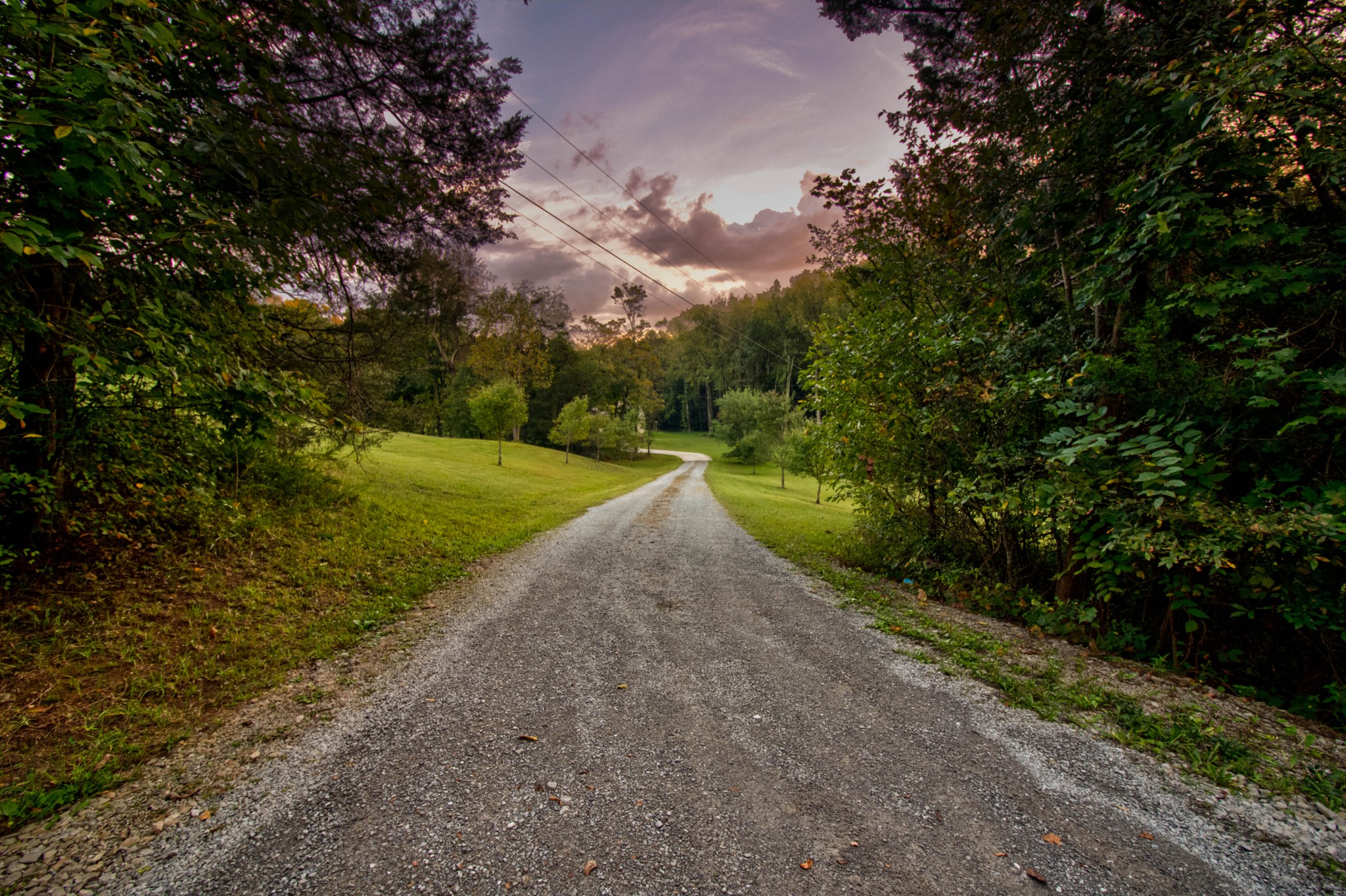 4190 Trough Springs Road Adams, TN 37010 - Photo 4 of 50 a view of a yard with large trees