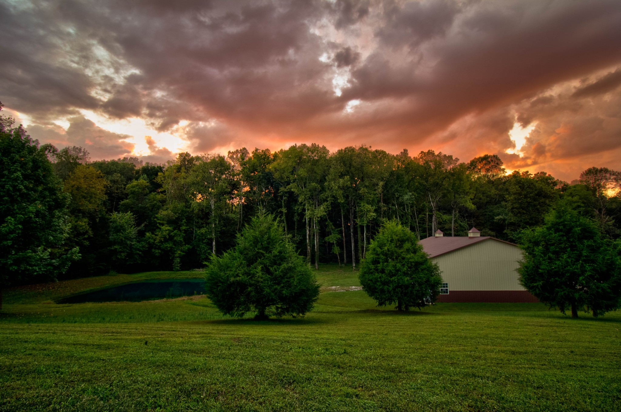 4190 Trough Springs Road Adams, TN 37010 - Photo 46 of 50 a view of a garden and basketball court