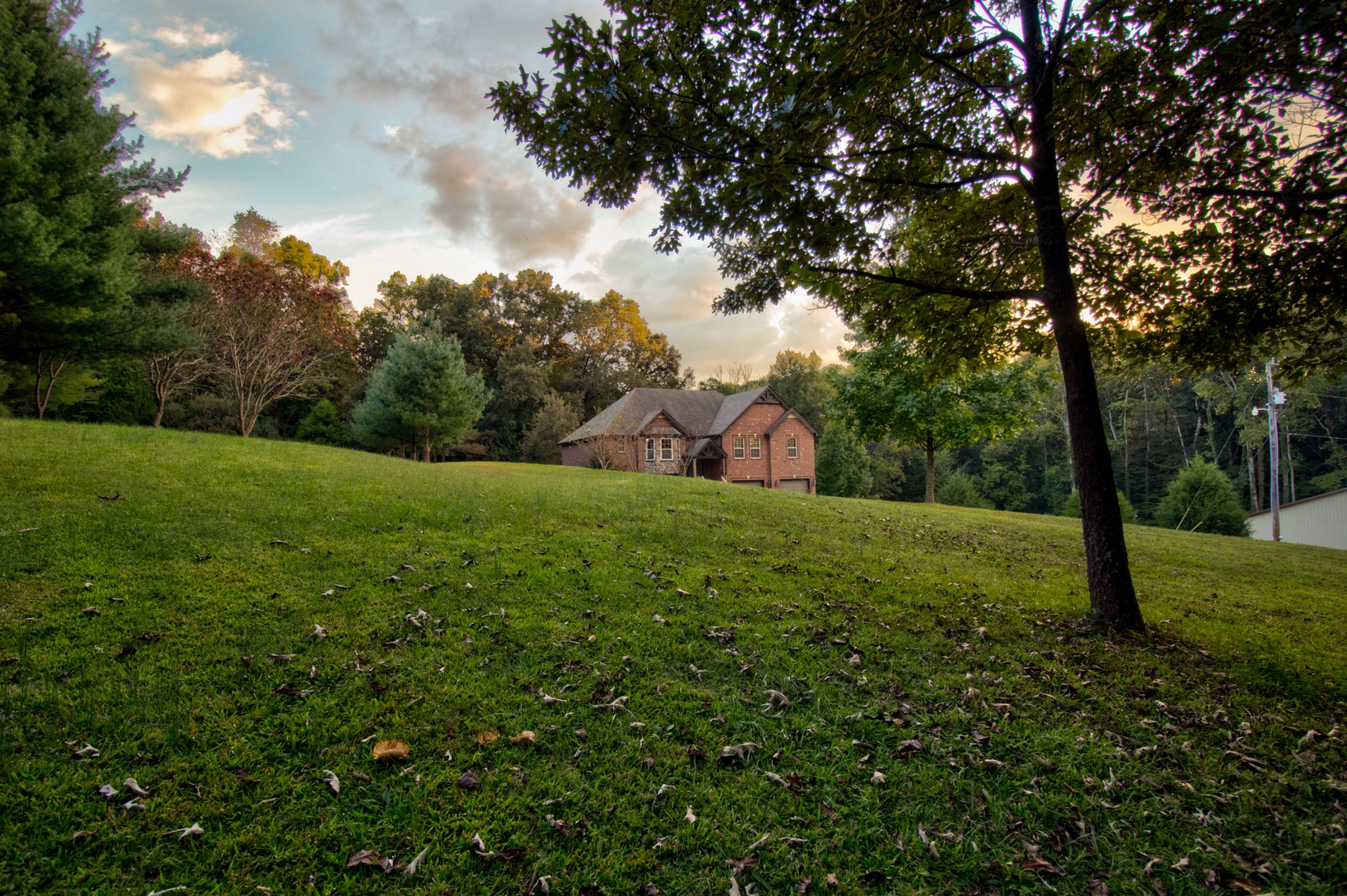 4190 Trough Springs Road Adams, TN 37010 - Photo 47 of 50 a view of a field of grass and trees