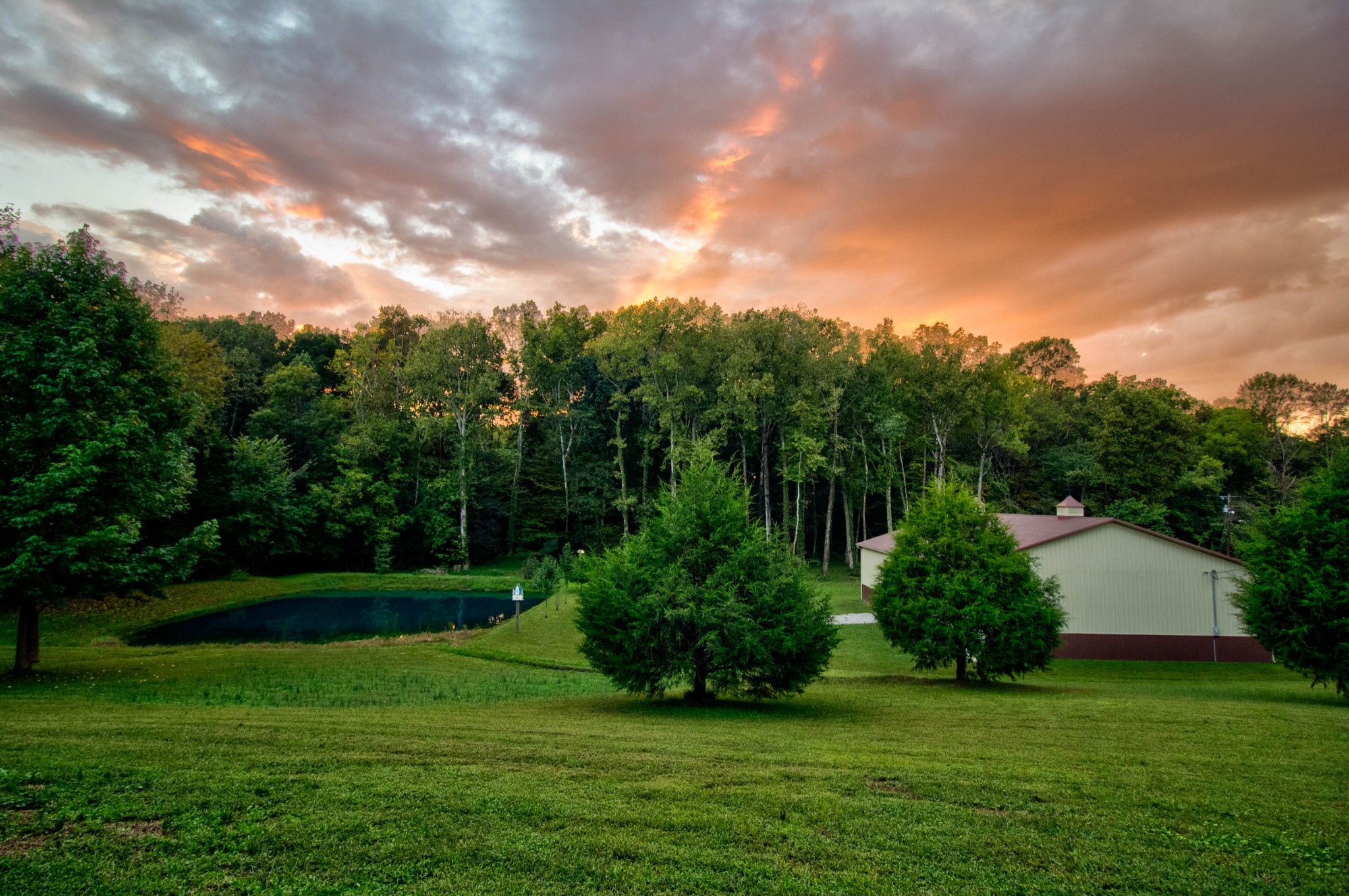 4190 Trough Springs Road Adams, TN 37010 - Photo 49 of 50 a view of a backyard with garden
