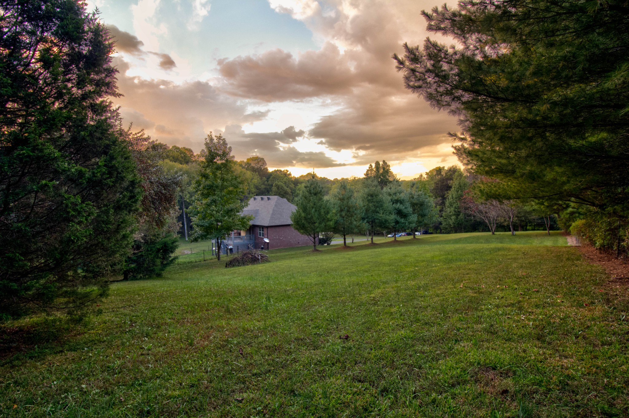 4190 Trough Springs Road Adams, TN 37010 - Photo 50 of 50 a view of a backyard with large trees