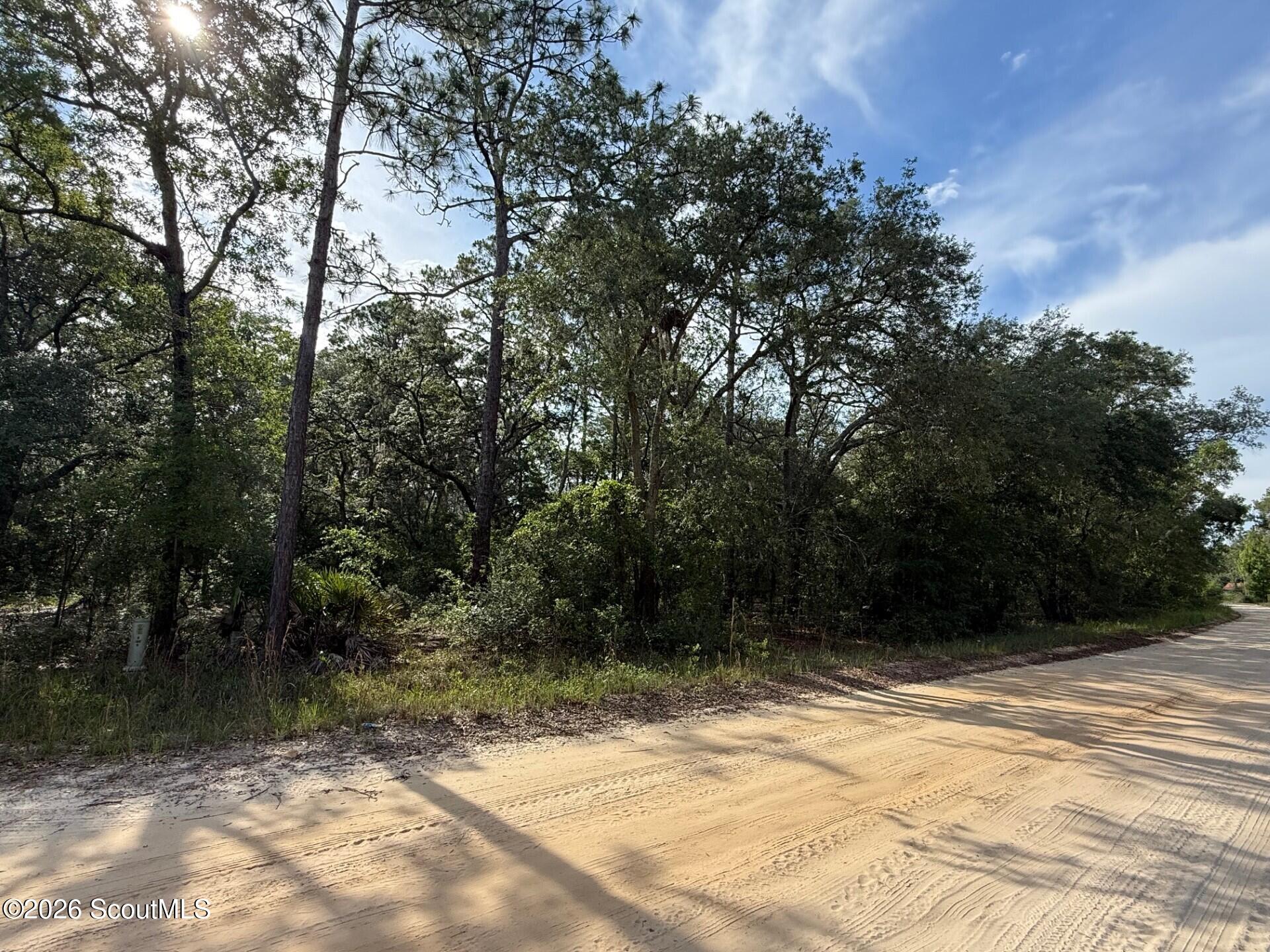 1605 Stafford Road Waynesville, GA 31566 - Photo 3 of 6 59c64da5-0771-4a52-86ba-2ec5caa2aefc