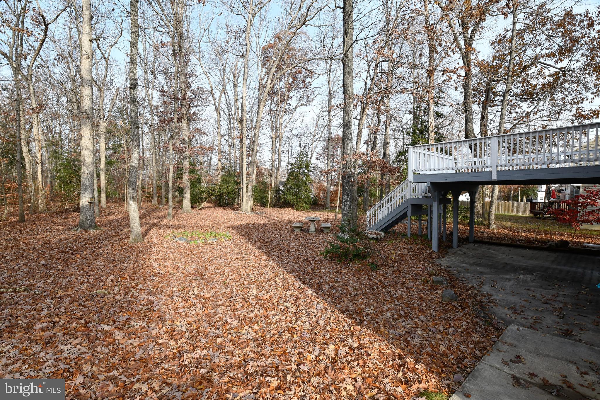 5515 South Branch Road Fredericksburg, VA 22407 - Photo 35 of 38