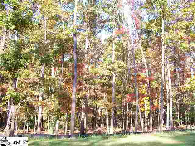 144 Rushing Waters Drive Inman, SC 29349 - Photo 14 of 14