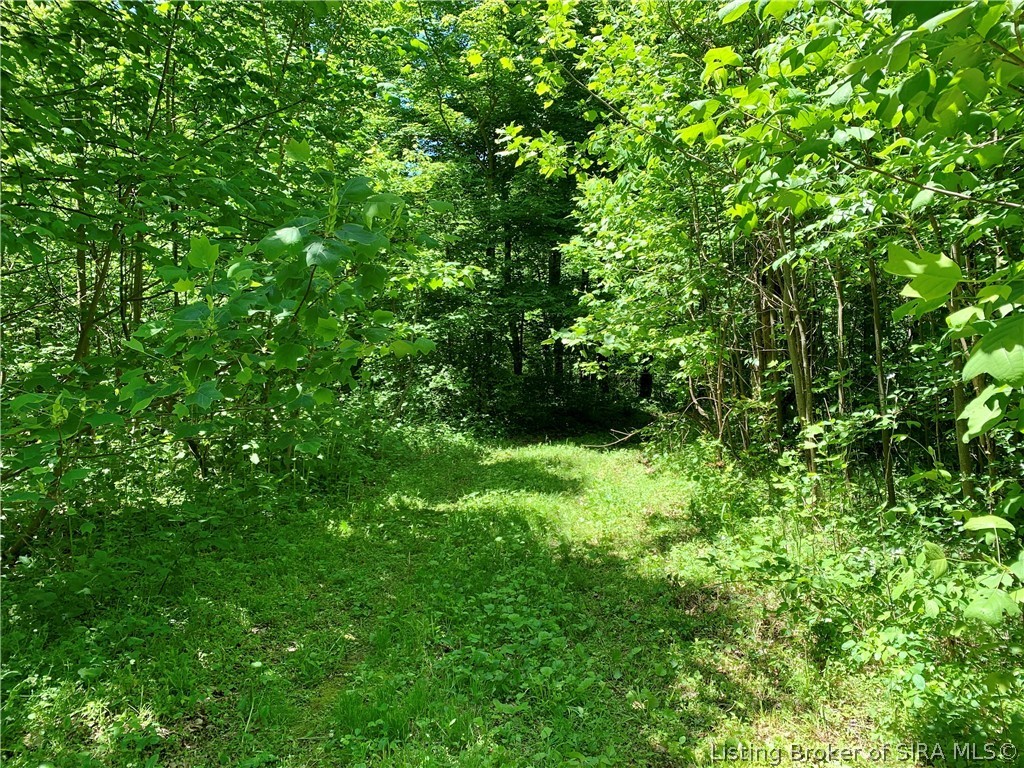 8131 West Rosebud Road Salem, IN 47167 - Photo 14 of 51