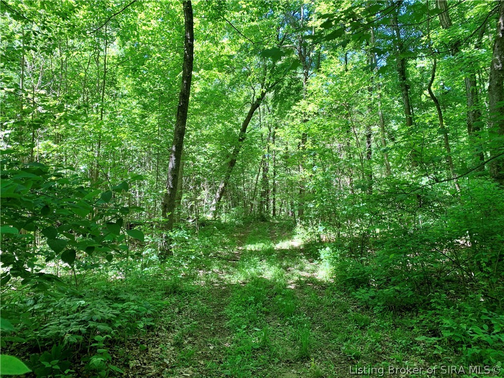 8131 West Rosebud Road Salem, IN 47167 - Photo 15 of 51