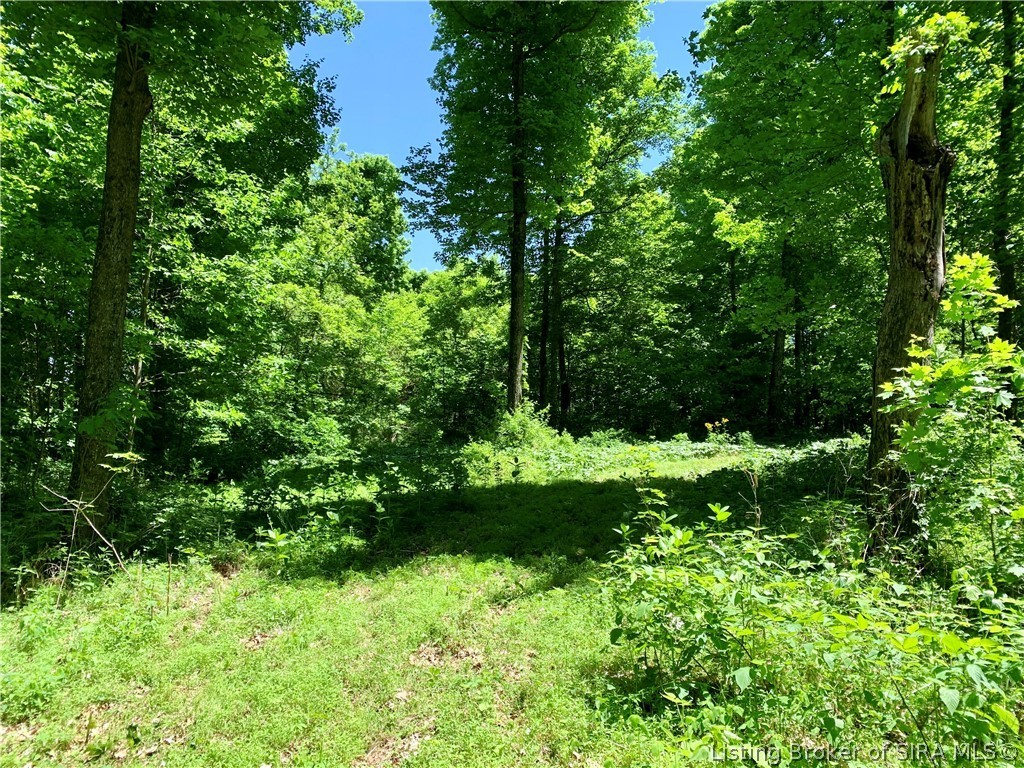 8131 West Rosebud Road Salem, IN 47167 - Photo 18 of 51