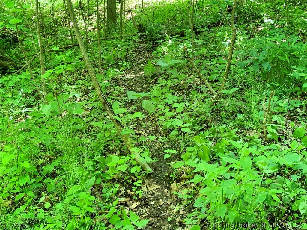 8131 West Rosebud Road Salem, IN 47167 - Photo 23 of 51