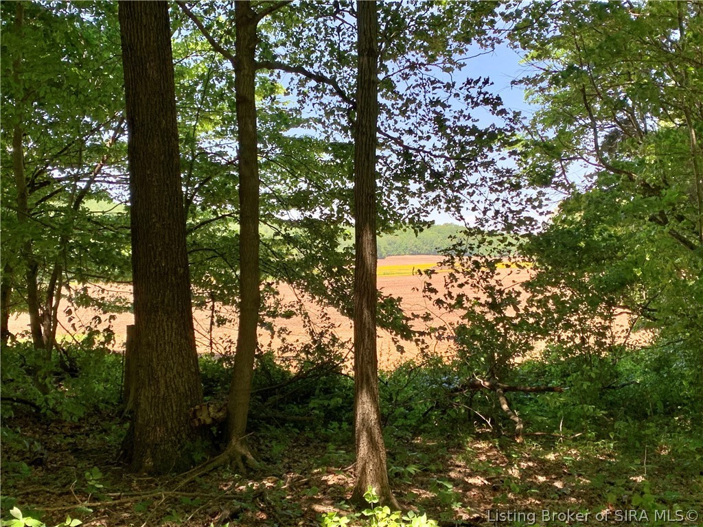 8131 West Rosebud Road Salem, IN 47167 - Photo 26 of 51