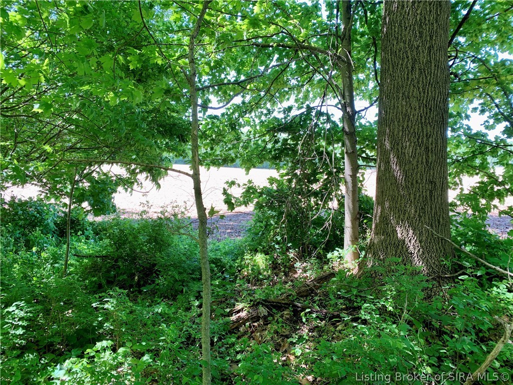 8131 West Rosebud Road Salem, IN 47167 - Photo 29 of 51