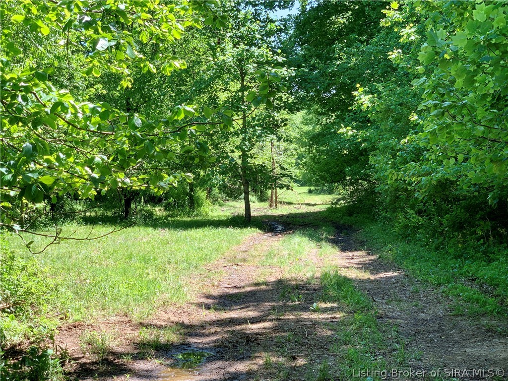 8131 West Rosebud Road Salem, IN 47167 - Photo 33 of 51