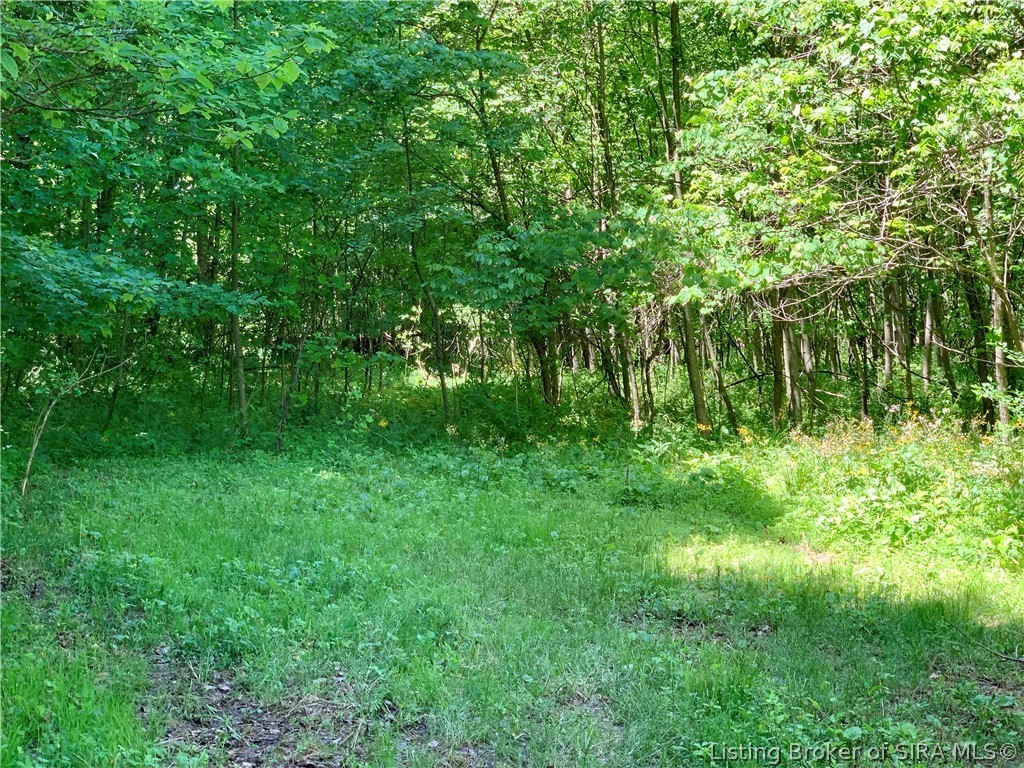 8131 West Rosebud Road Salem, IN 47167 - Photo 34 of 51