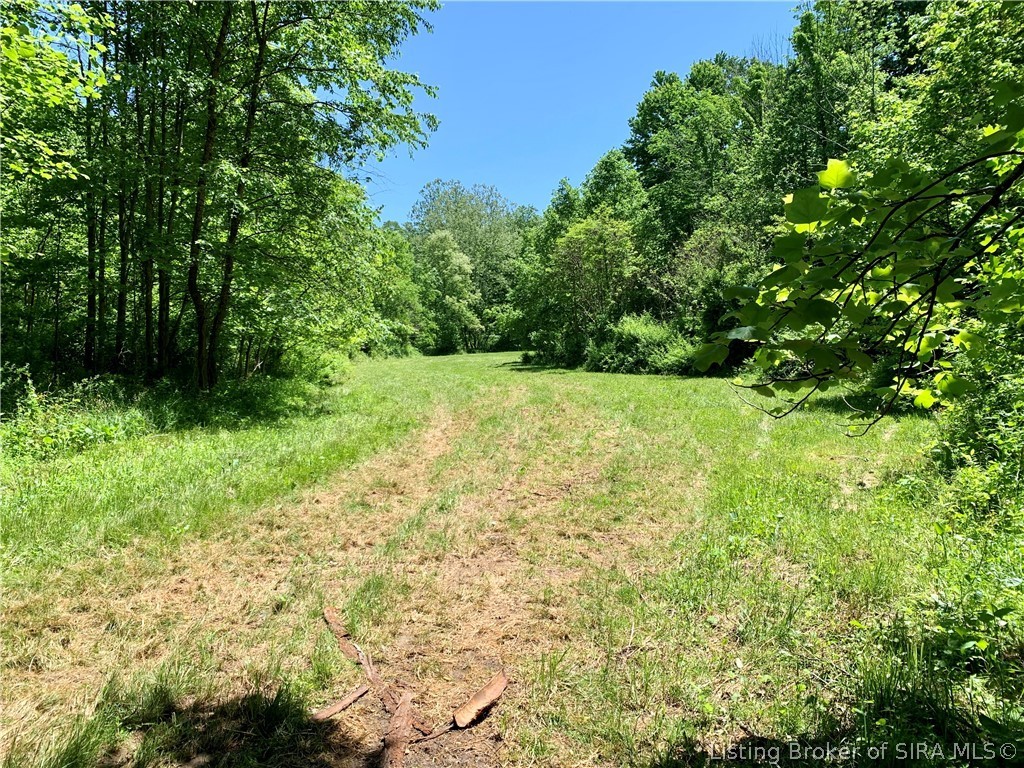 8131 West Rosebud Road Salem, IN 47167 - Photo 36 of 51