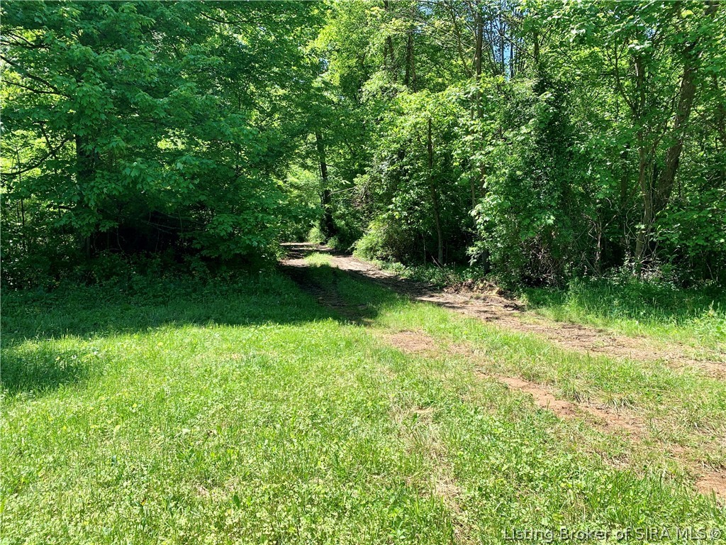 8131 West Rosebud Road Salem, IN 47167 - Photo 42 of 51