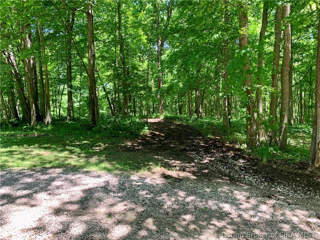 8131 West Rosebud Road Salem, IN 47167 - Photo 50 of 51