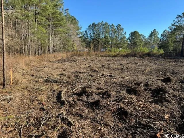 $49,900 | Tbd Redmond Court, Conway, SC 29526