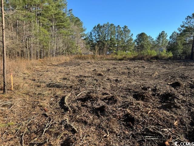Tbd Redmond Court Conway, SC 29526 - Photo 1 of 2
