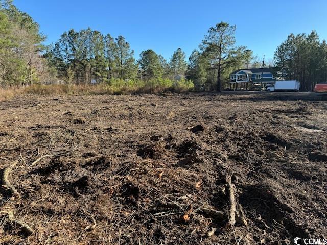 Tbd Redmond Court Conway, SC 29526 - Photo 2 of 2