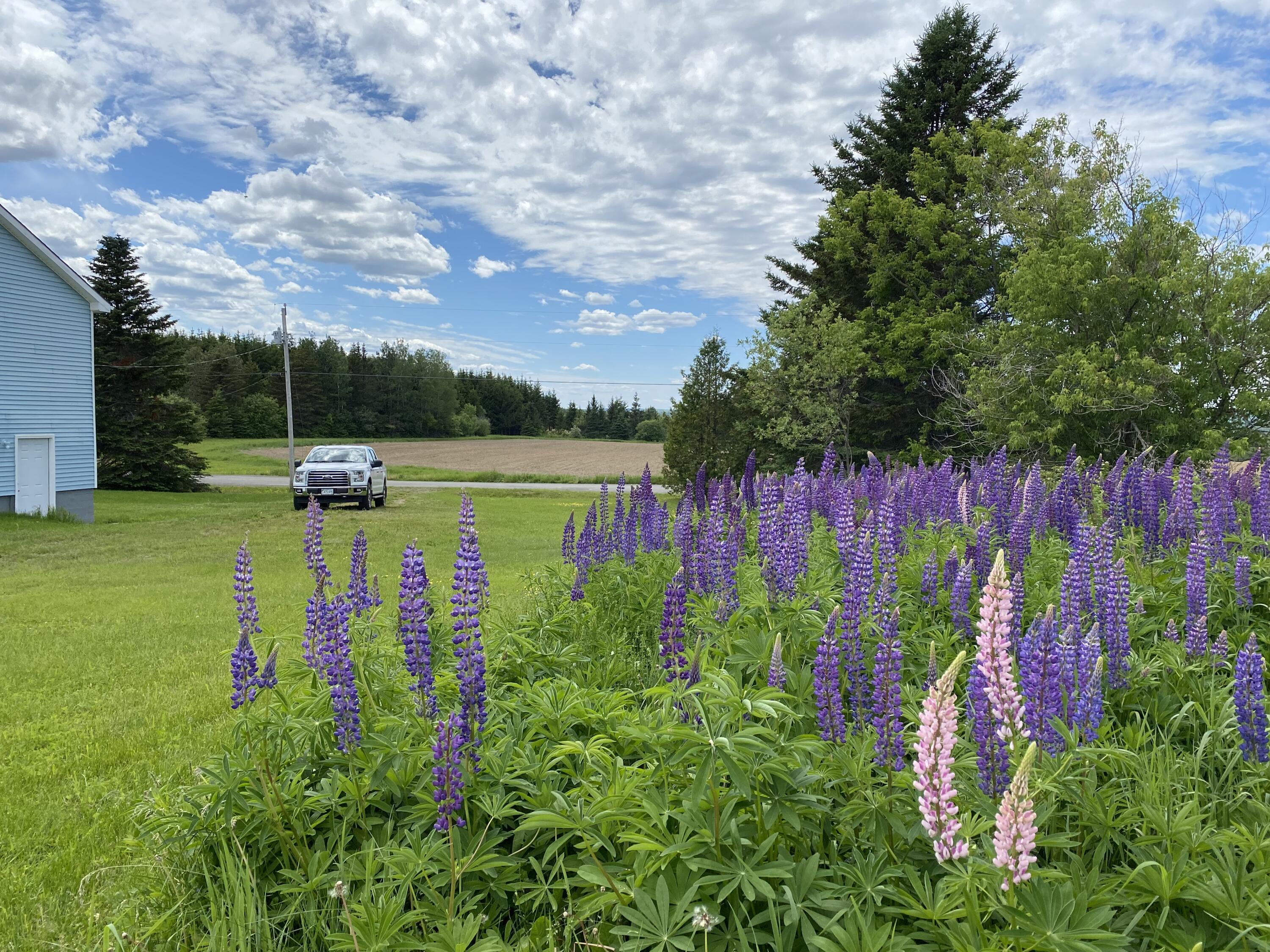 269 Wotton Road Monticello, ME 04760 - Photo 29 of 29 IMG_3474