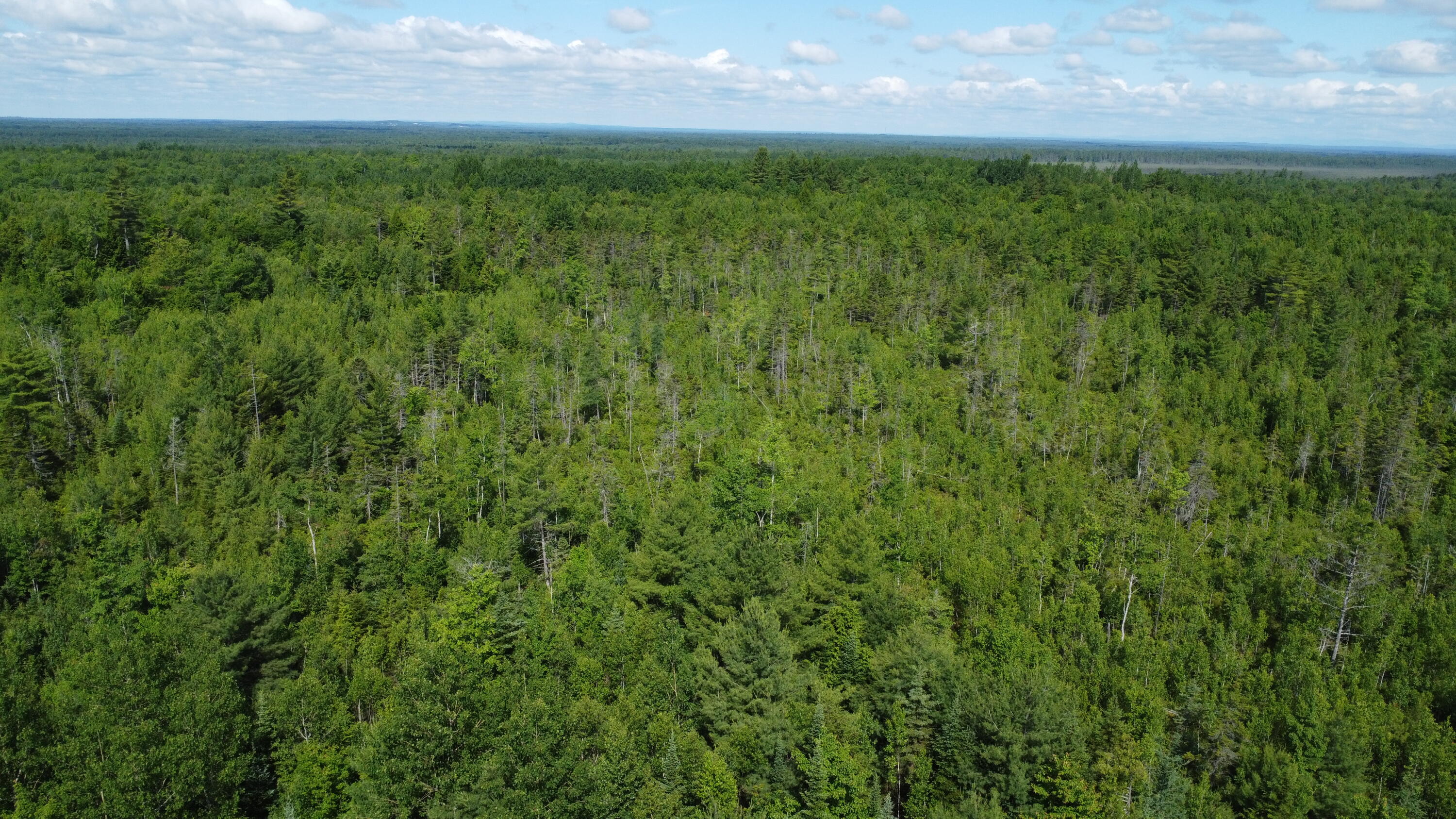 30-007 Cardville Road Greenbush, ME 04418 - Photo 4 of 19 DJI_0064