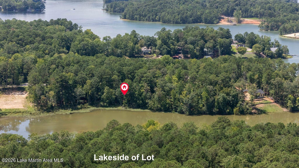 1392 Sturdivant Road Jacksons Gap, AL 36861 - Photo 3 of 18 Gallery Image 3