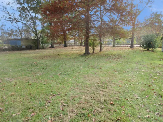 a view of trees with a yard