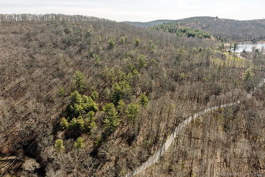 0 Whitcomb Hill Road Cornwall Bridge, CT 06754 - Photo 1 of 1 a view of a forest with mountains in the background