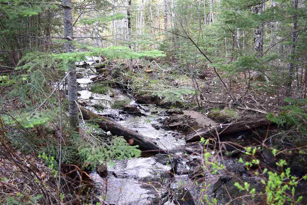 746 Durand Road Randolph, NH 03593 - Photo 1 of 28 Gallery Image 1