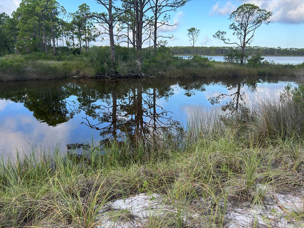 116 Anglers Road Carrabelle, FL 32322 - Photo 1 of 7 Gallery Image 1