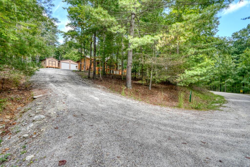 200 Renegade Ridge Road Blairsville, GA 30512 - Photo 50 of 56 Gallery Image 50