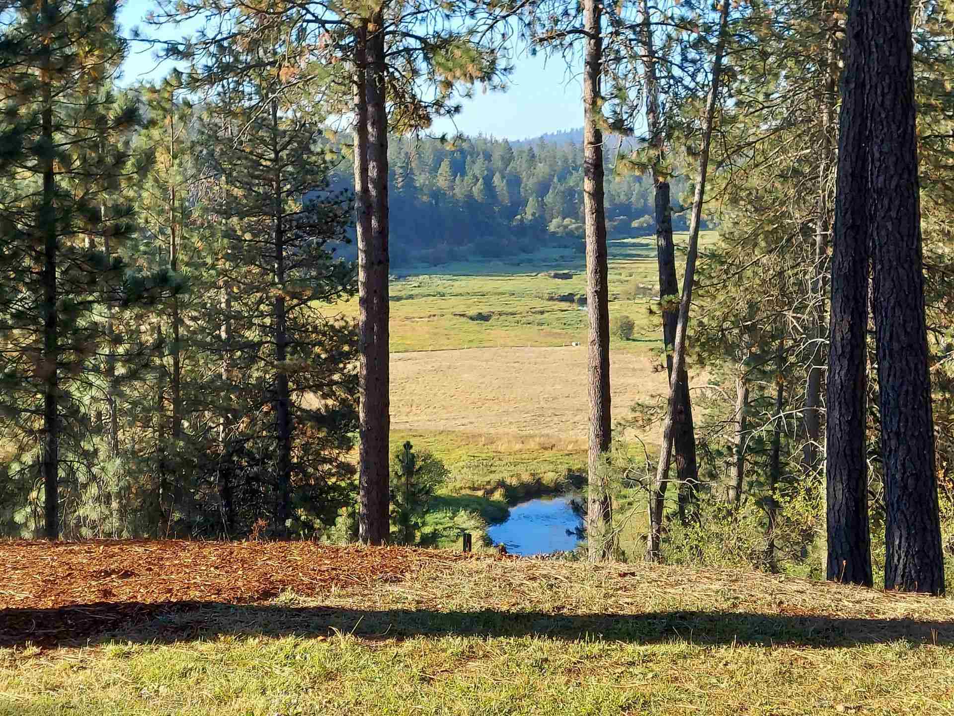 5905 East Eloika Road Elk, WA 99009 - Photo 3 of 34