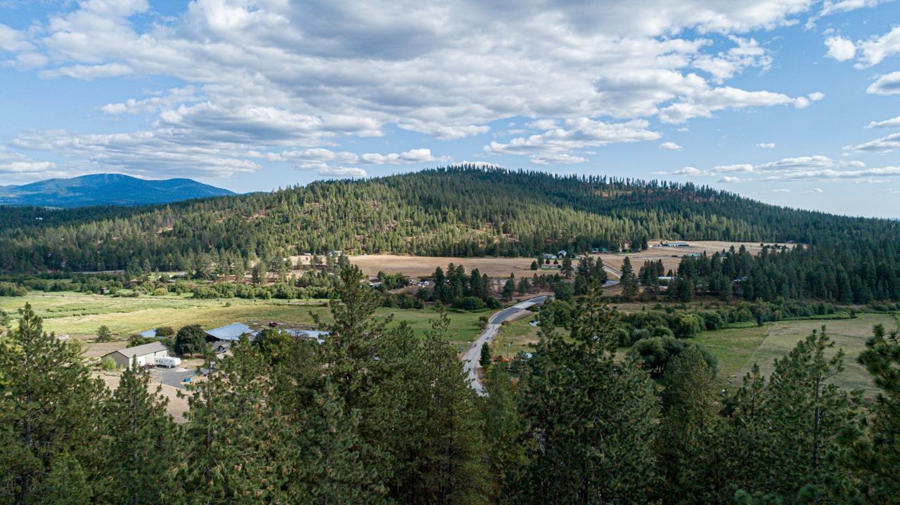 5905 East Eloika Road Elk, WA 99009 - Photo 29 of 34