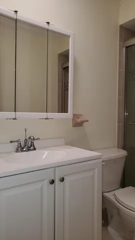 a bathroom with a sink toilet and vanity