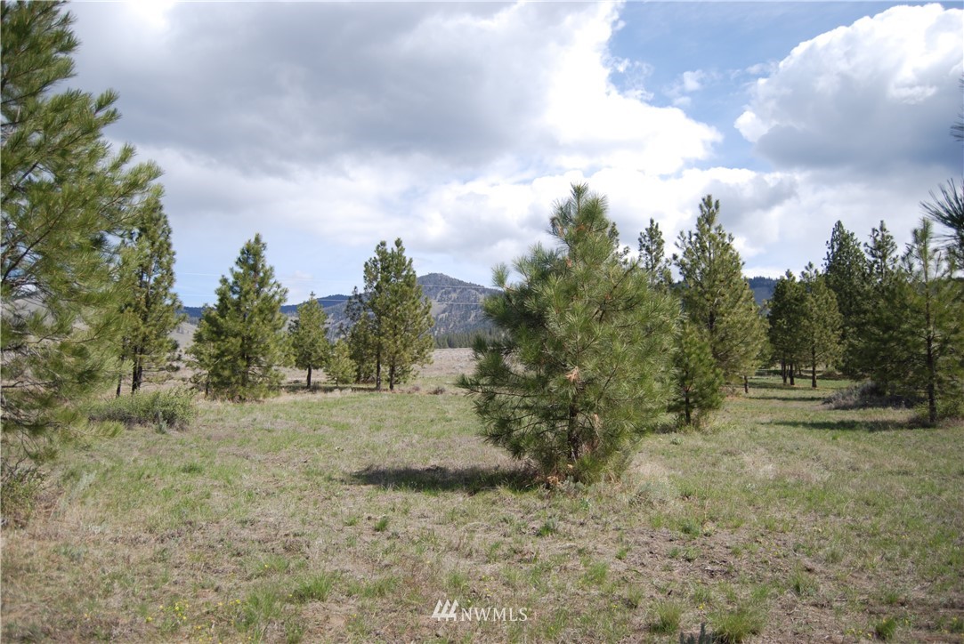 7 Chief Joseph Spur East Riverside, WA 98849 - Photo 1 of 18 Gallery Image 1