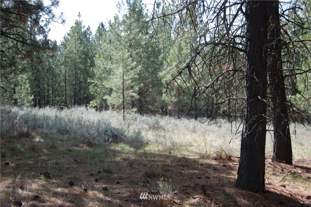 7 Chief Joseph Spur East Riverside, WA 98849 - Photo 2 of 18 Gallery Image 2